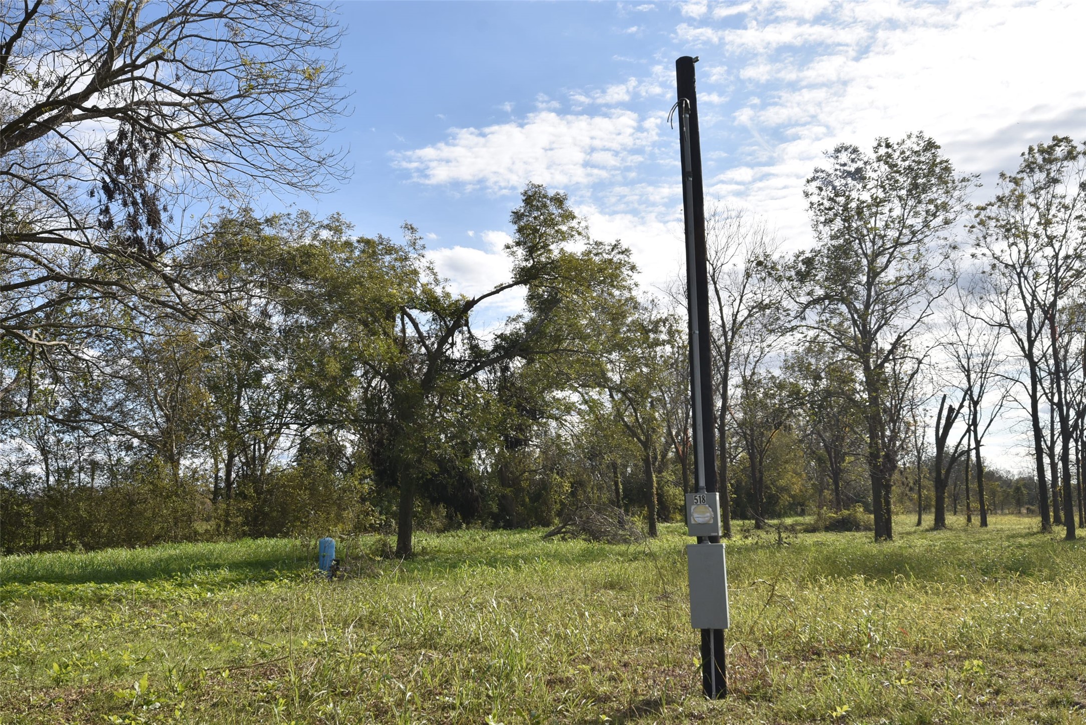 201 County Road 224 Wharton, TX 77488 - Photo 40 of 41 a big tree in a yard with large trees