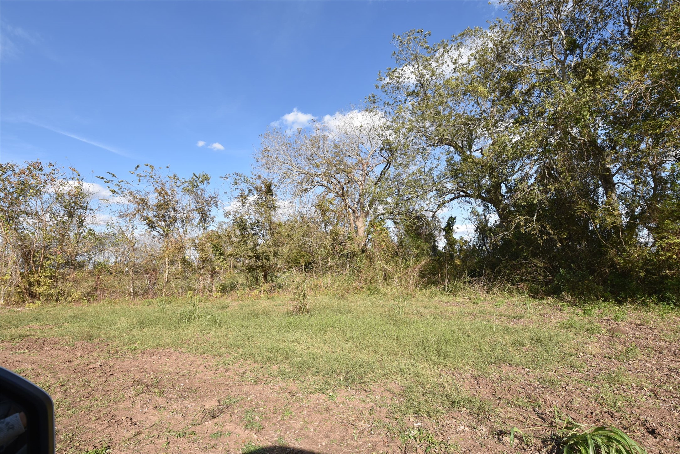 201 County Road 224 Wharton, TX 77488 - Photo 41 of 41 a view of a yard with trees