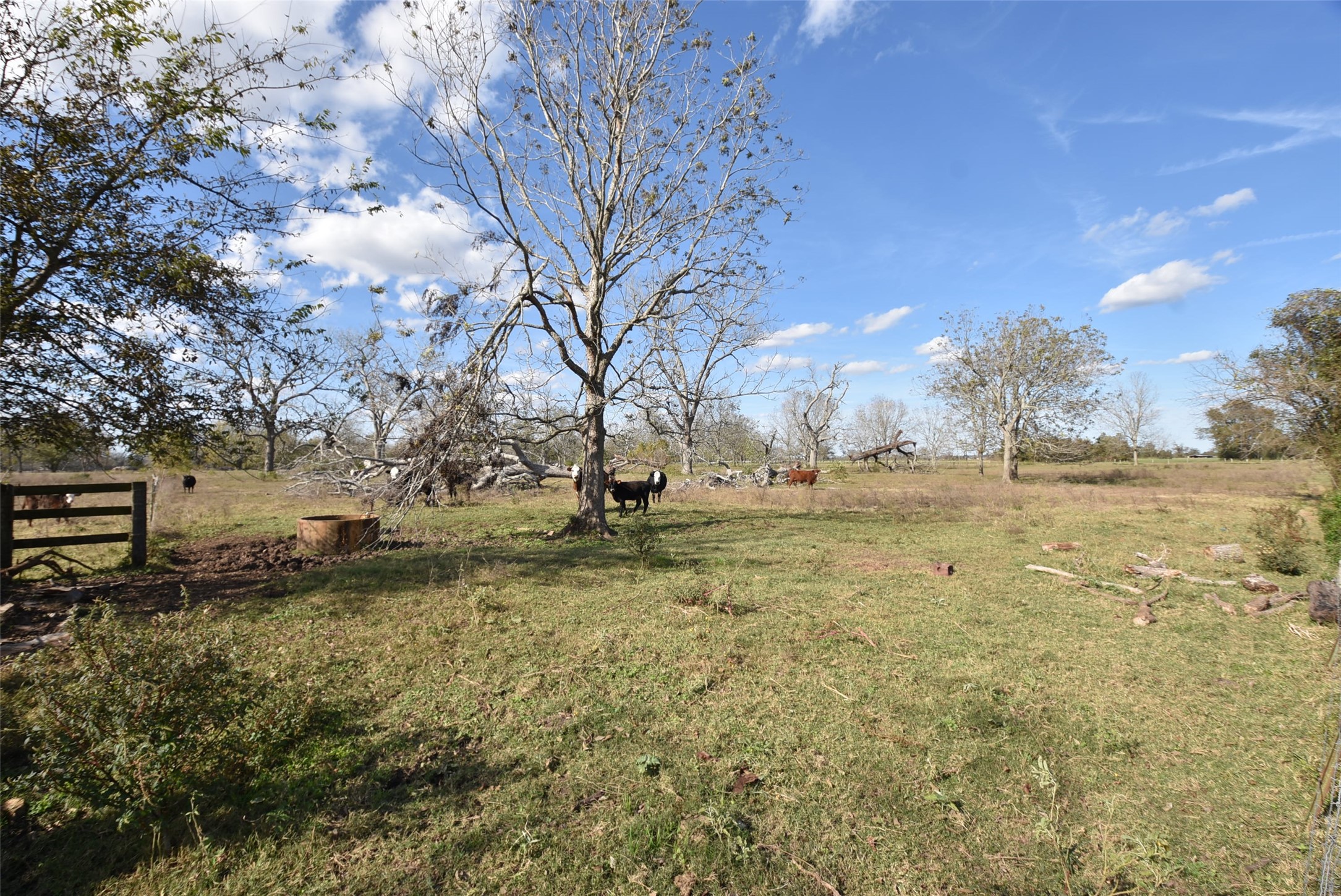 201 County Road 224 Wharton, TX 77488 - Photo 6 of 41 a view of open space with green space