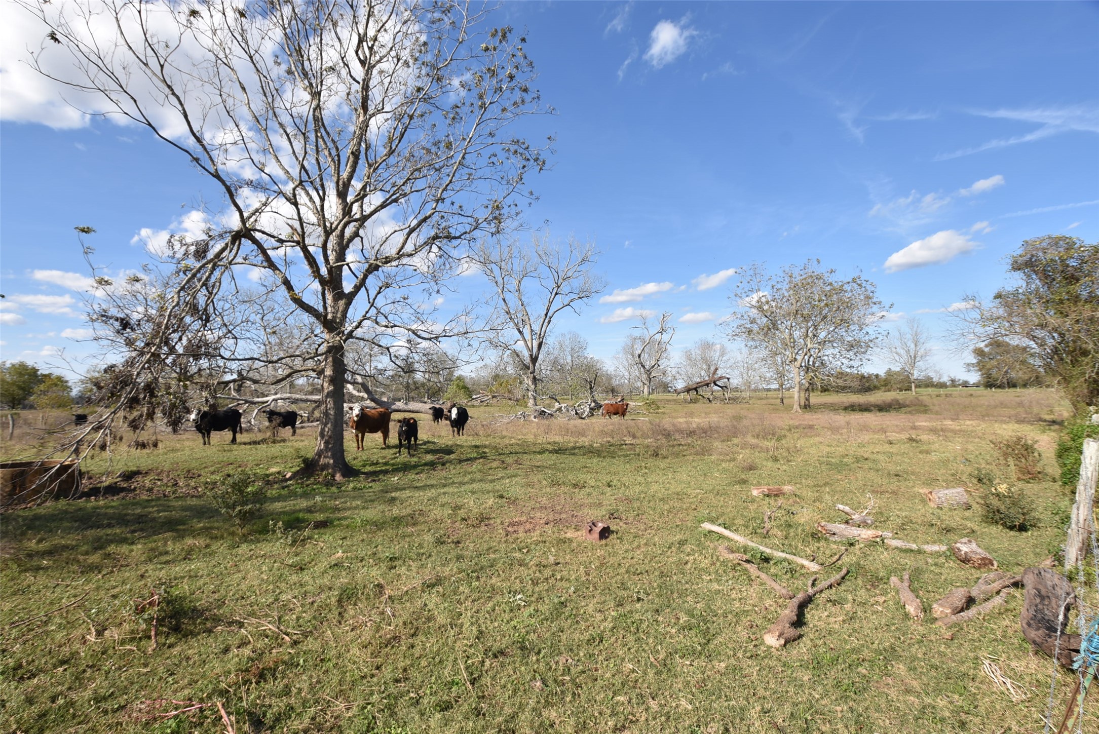201 County Road 224 Wharton, TX 77488 - Photo 7 of 41 a view of yard with trees