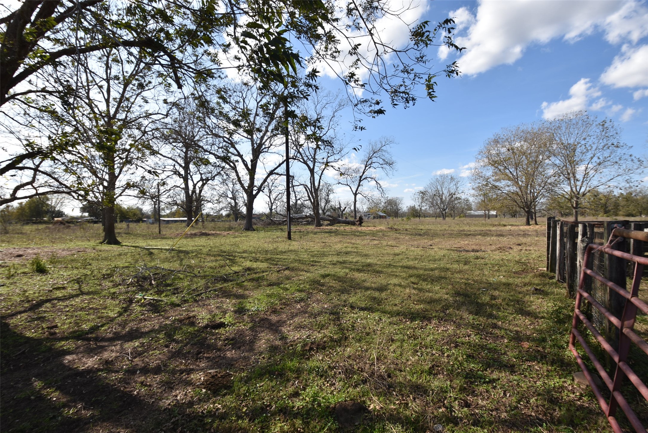 201 County Road 224 Wharton, TX 77488 - Photo 8 of 41 a backyard of a house with lots of green space