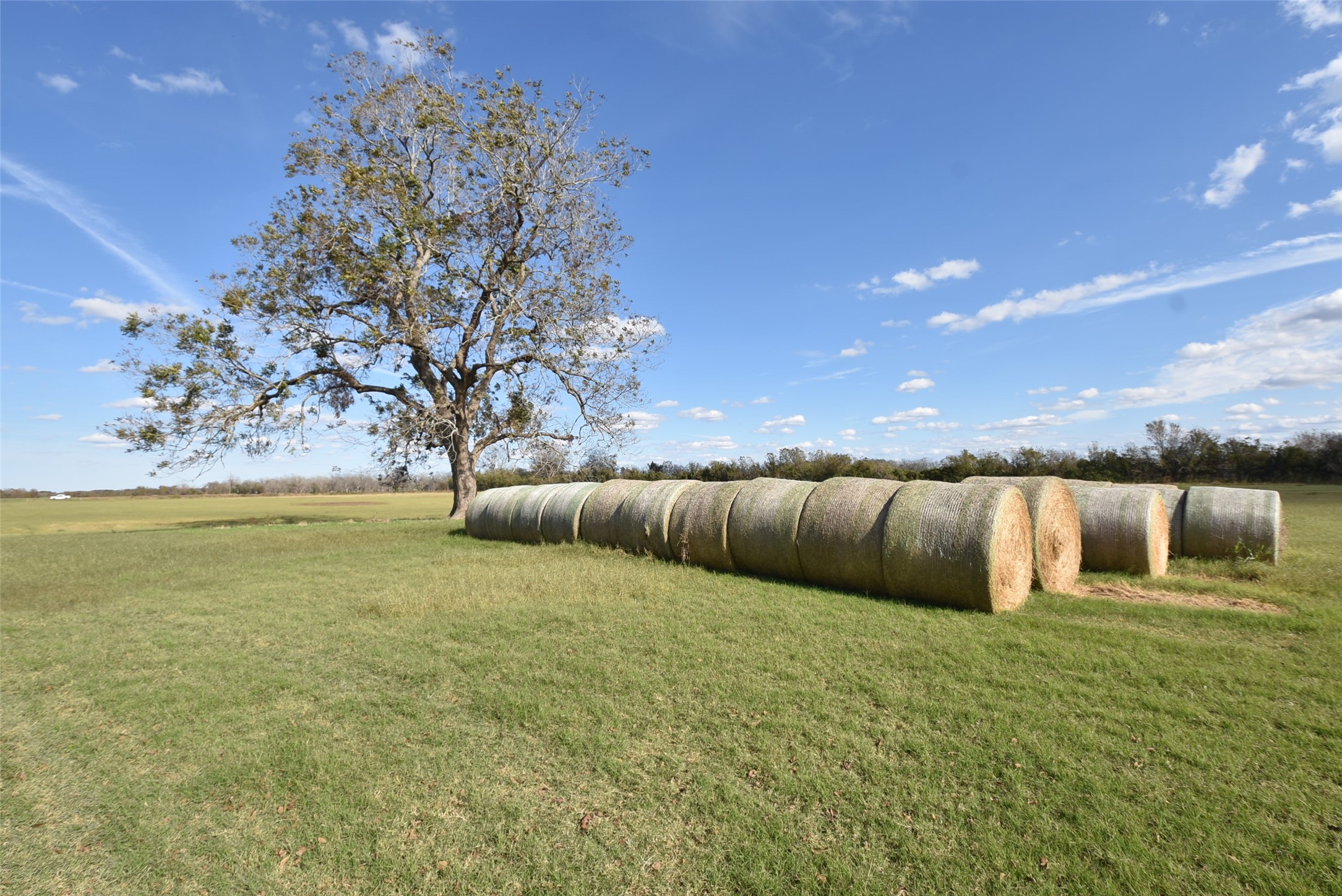 201 County Road 224 Wharton, TX 77488 - Photo 10 of 41 a swimming pool with outdoor seating and yard