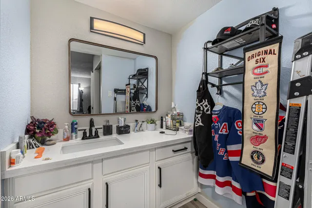 a bathroom with a sink mirror and vanity