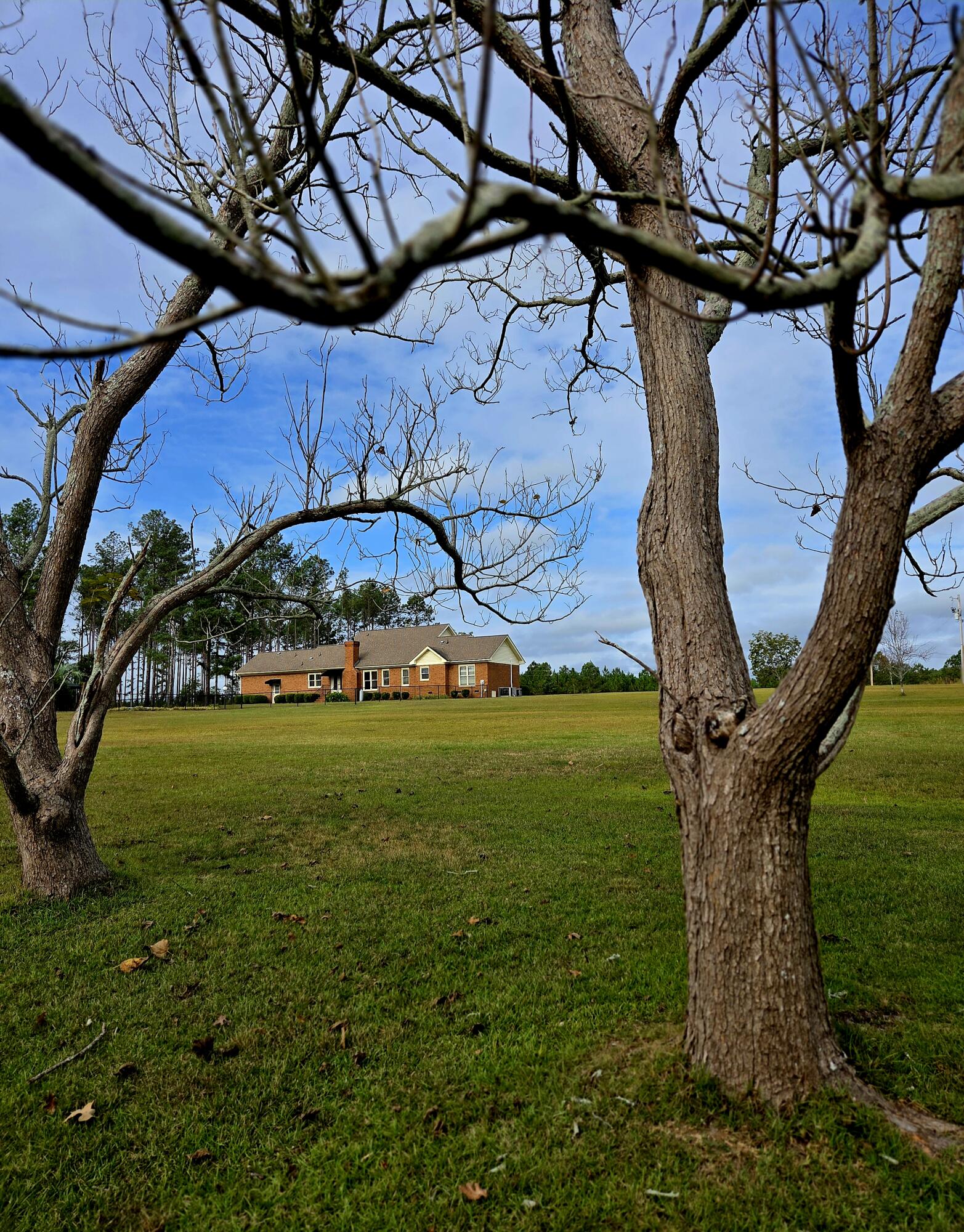 2409 Silver Bluff Road Aiken, SC 29803 - Photo 57 of 70 .
