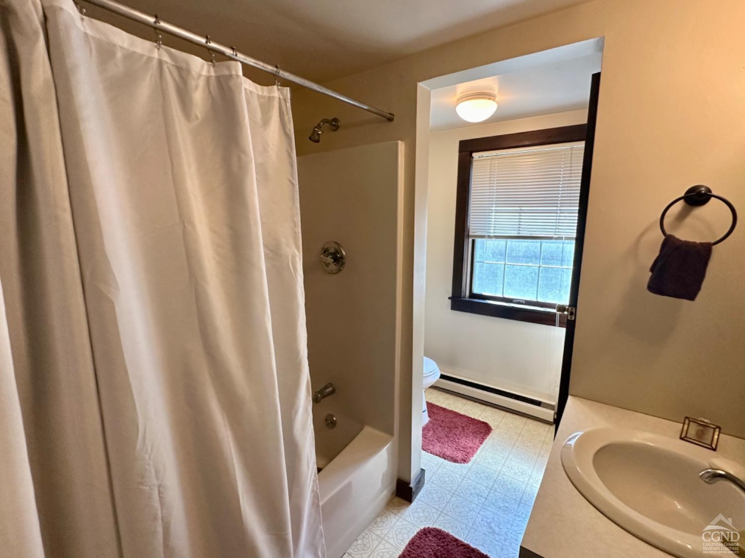 1020 Maplecrest Road East Jewett, NY 12424 - Photo 24 of 30 a bathroom with a sink and a mirror