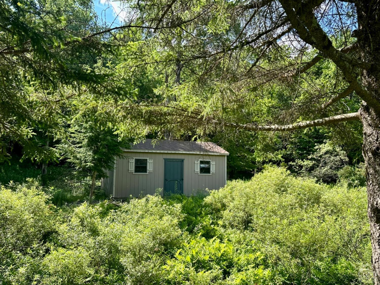 1020 Maplecrest Road East Jewett, NY 12424 - Photo 3 of 30 a view of a house with a tree