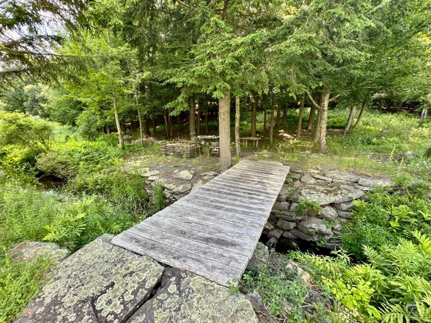 1020 Maplecrest Road East Jewett, NY 12424 - Photo 4 of 30 a view of a backyard