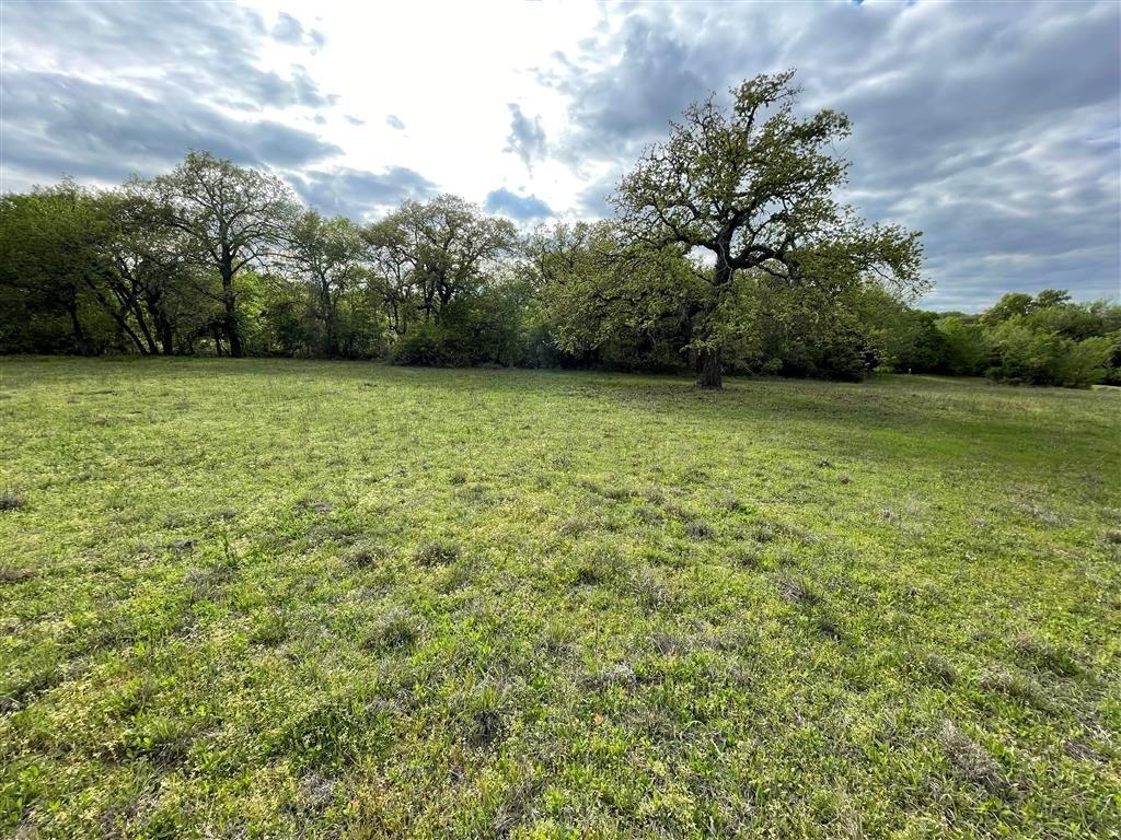 1037 Gonzollas Road Springtown, TX 76082 - Photo 2 of 19 Lots of trees!