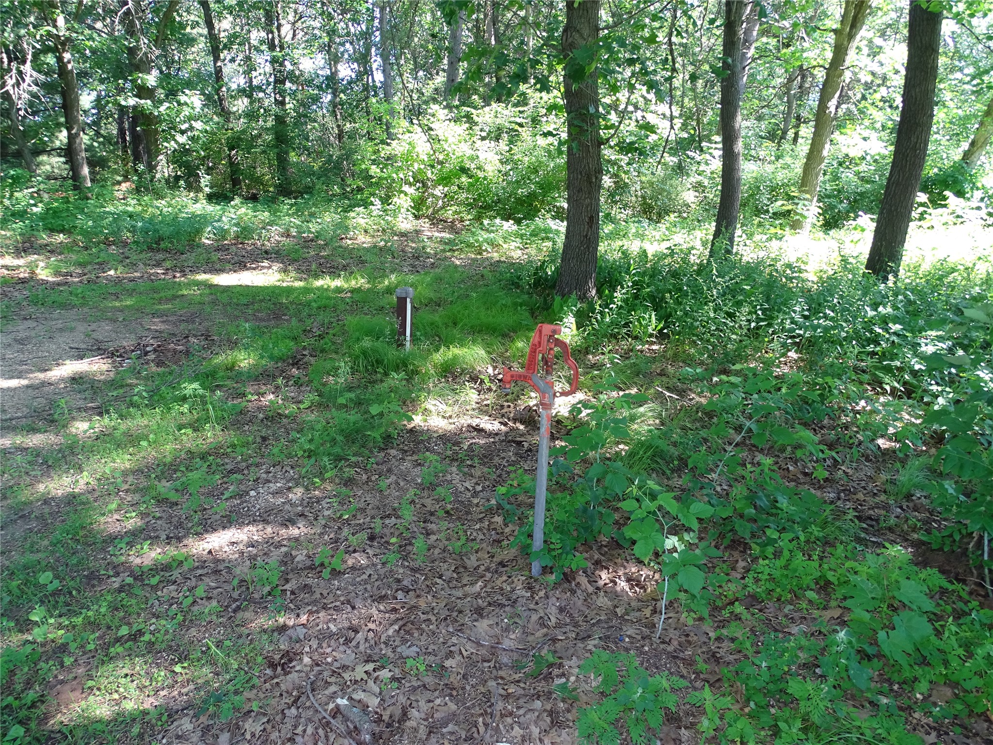 N4916 County Road North Arkansaw, WI 54721 - Photo 15 of 25
