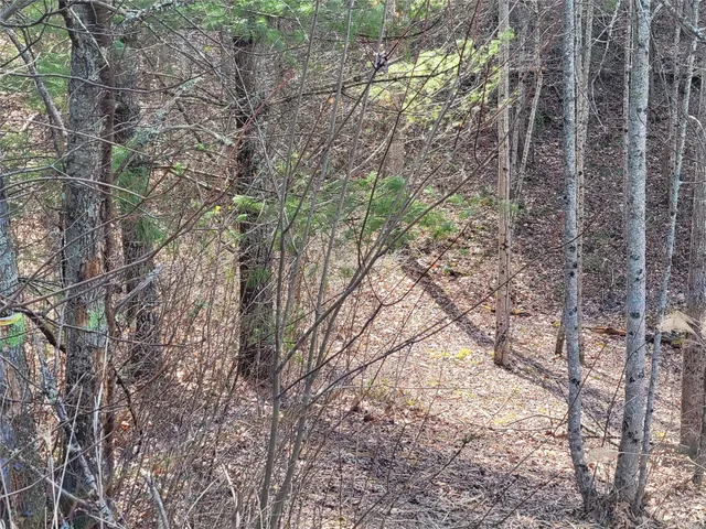 $34,900 | 235 Macduff Lane, Unit 16, Weaverville, NC 28787