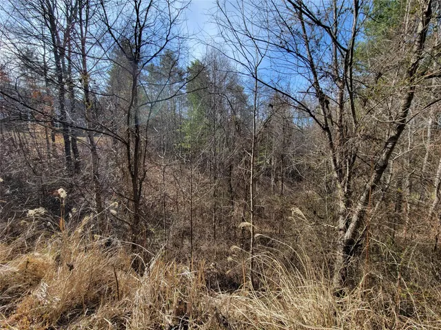 $34,900 | 235 Macduff Lane, Unit 16, Weaverville, NC 28787