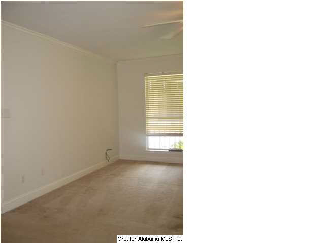 325 Black Acres Road Cropwell, AL 35054 - Photo 16 of 32