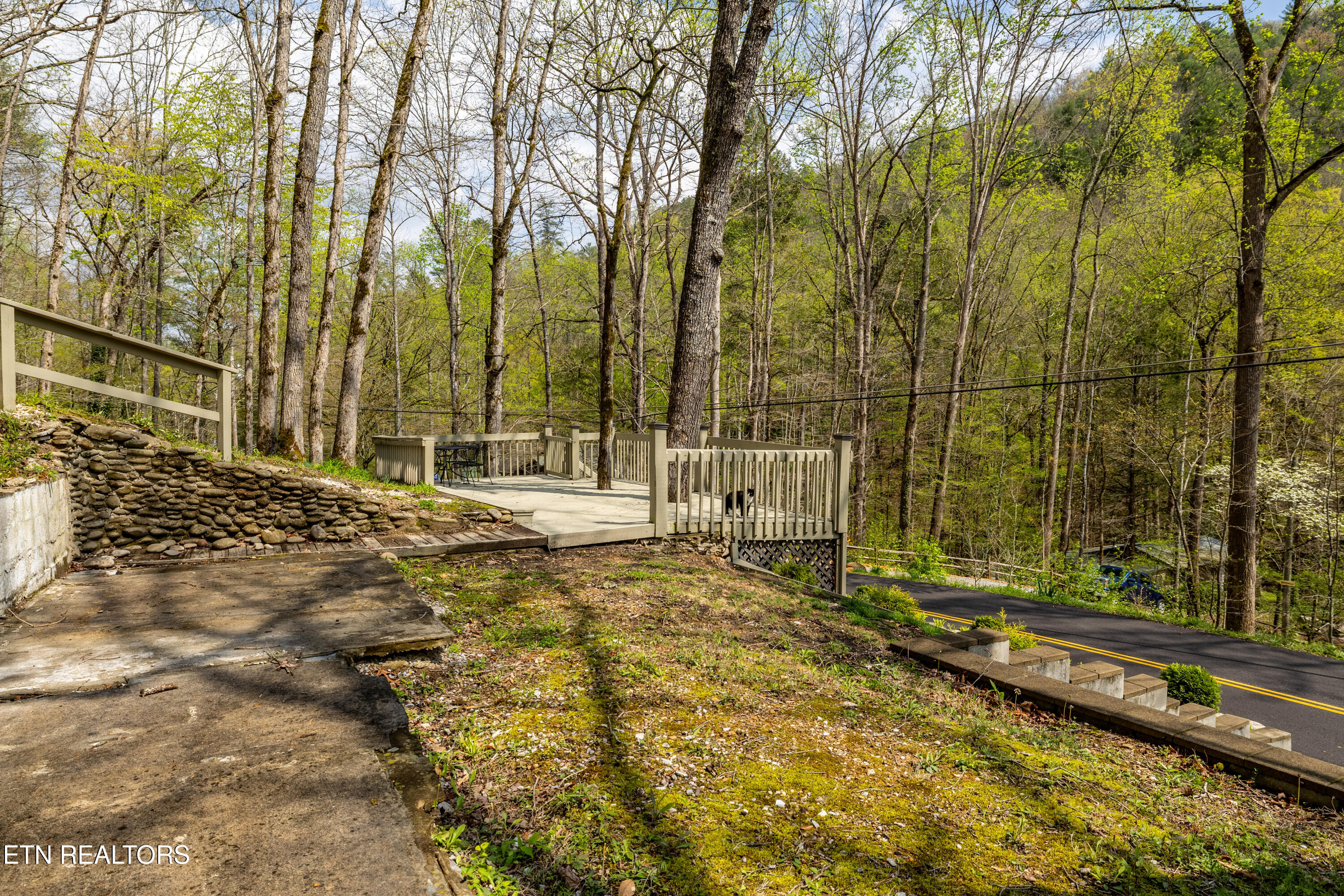 236-240 Long Branch Road Townsend, TN 37882 - Photo 14 of 47 236LongBranchRd-7