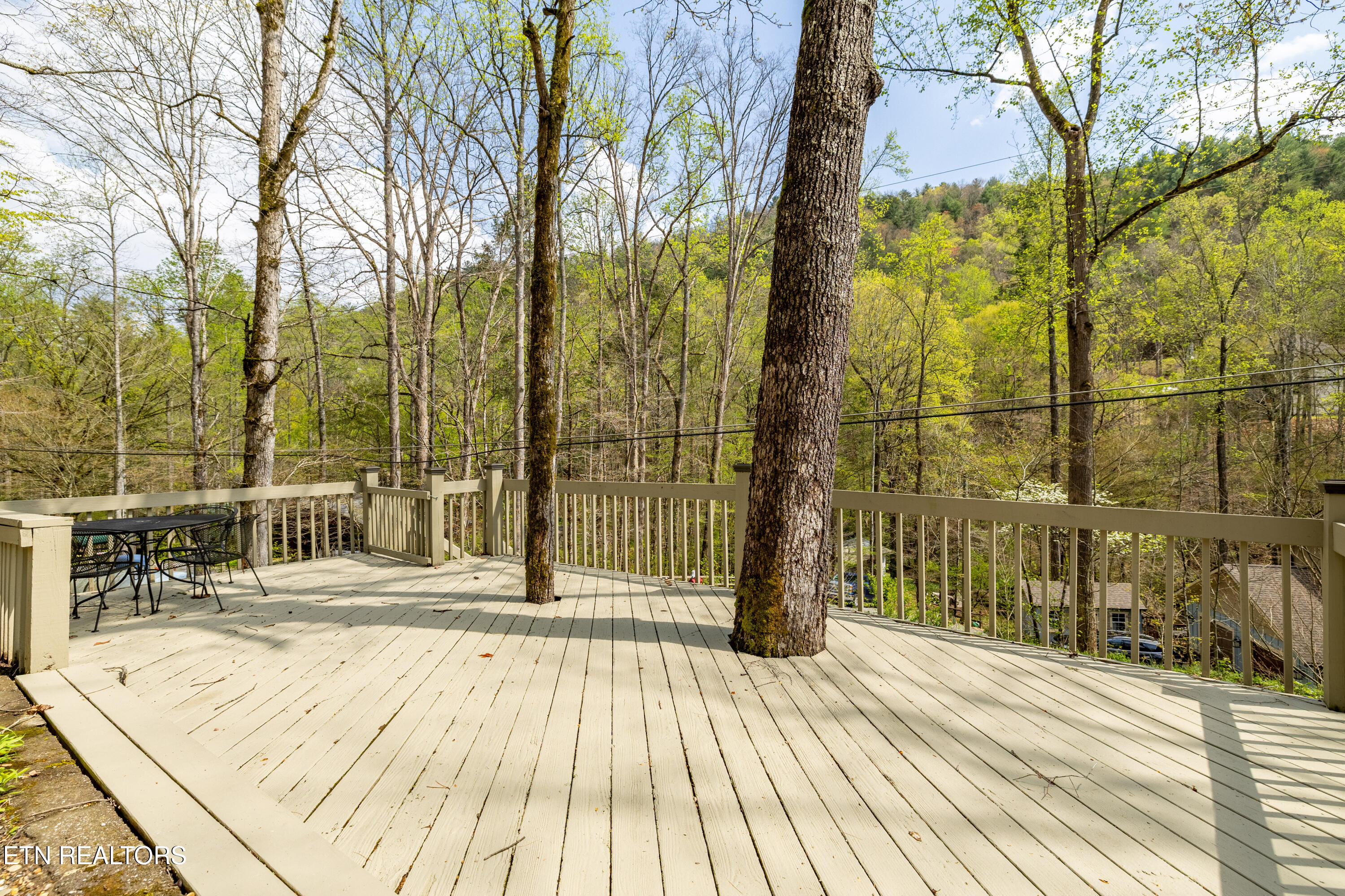 236-240 Long Branch Road Townsend, TN 37882 - Photo 15 of 47 236LongBranchRd-12