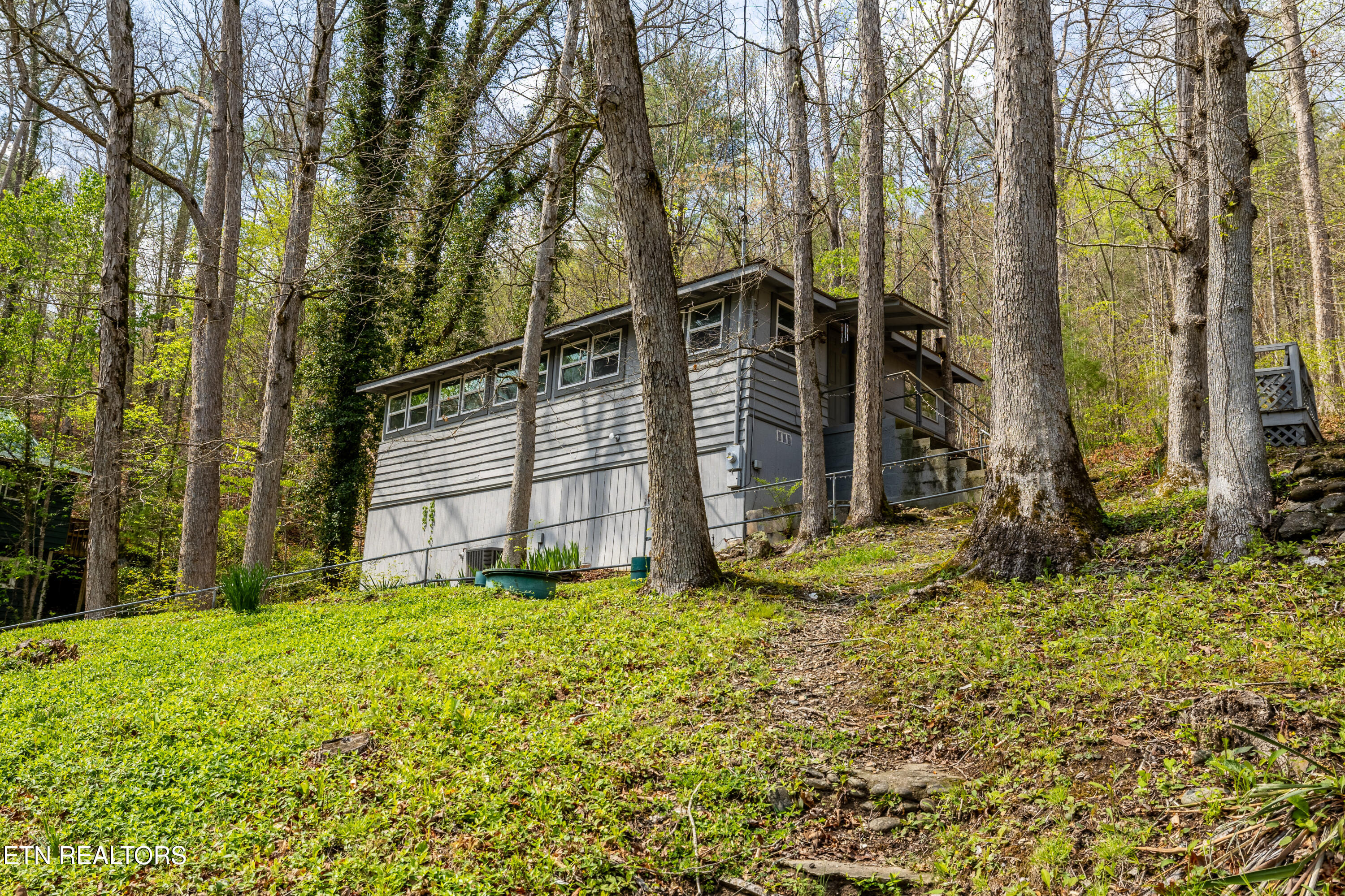 236-240 Long Branch Road Townsend, TN 37882 - Photo 23 of 47 240LongBranchRd-21