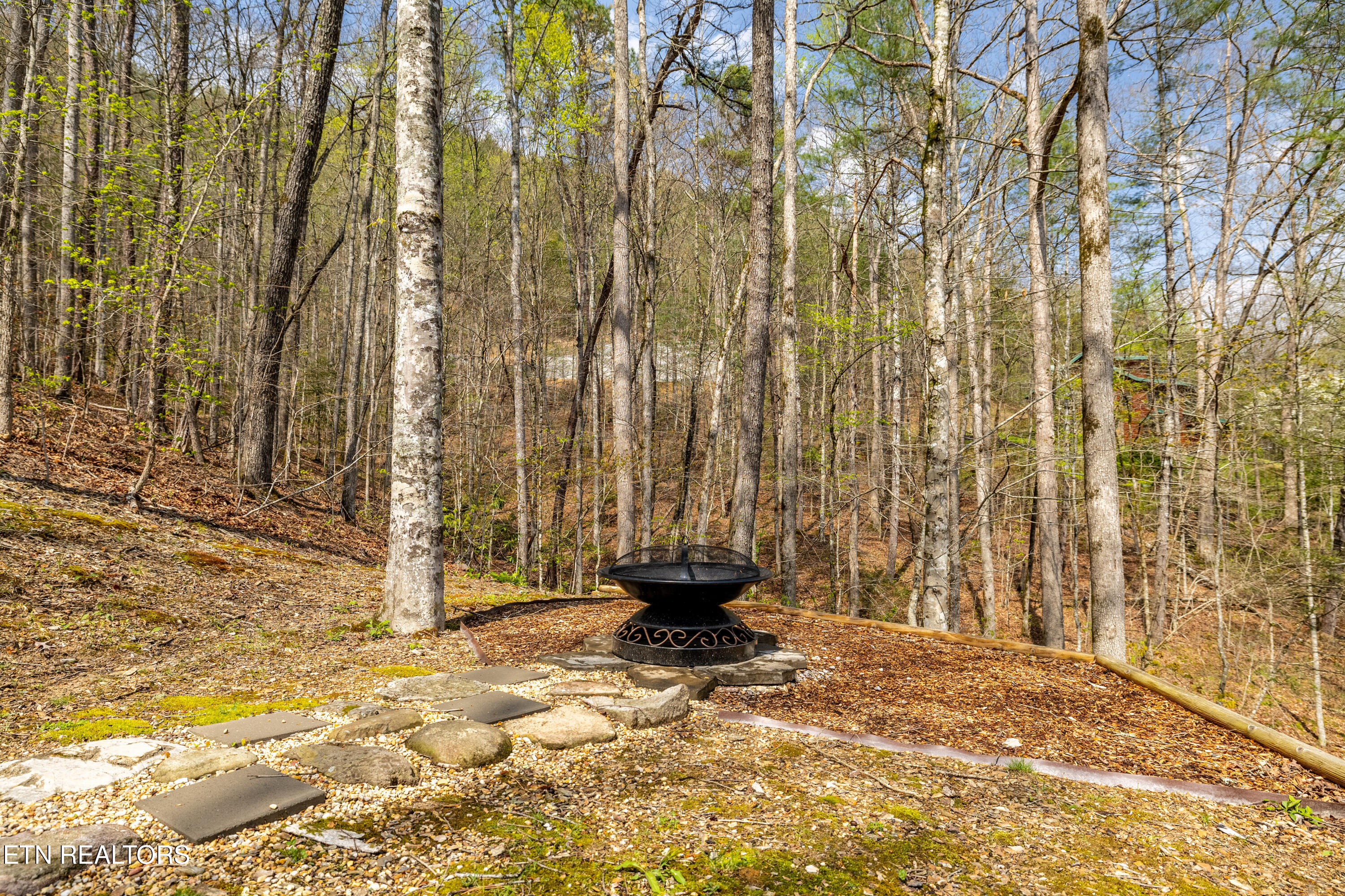 236-240 Long Branch Road Townsend, TN 37882 - Photo 8 of 47 236LongBranchRd-16