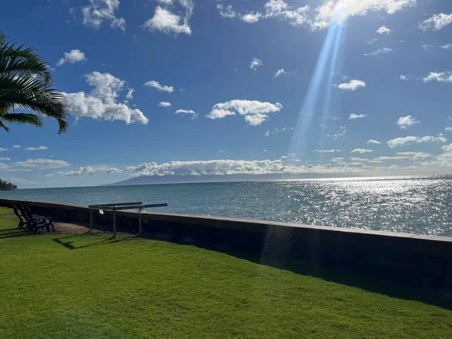 a view of a lake from a yard
