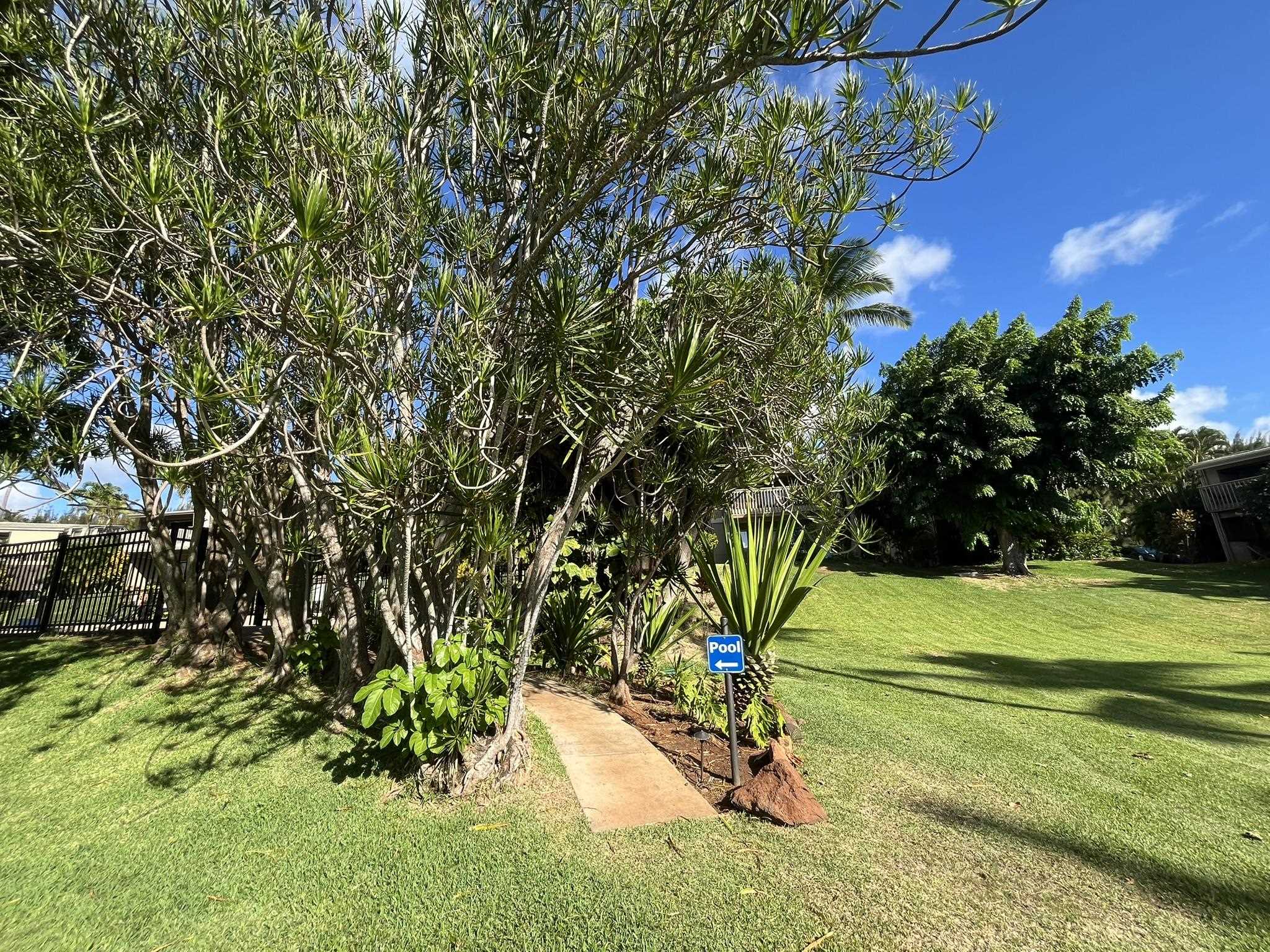 4435 Lower Honoapiilani Road, Unit 225 Lahaina, HI 96761 - Photo 2 of 35 a view of a tree in front of a field