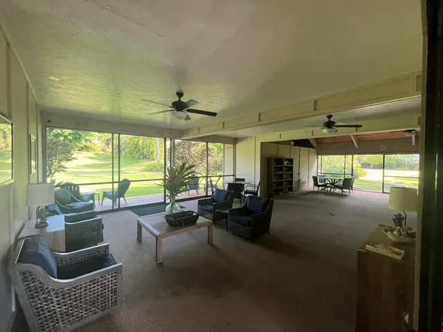 a view of a park with a palm trees