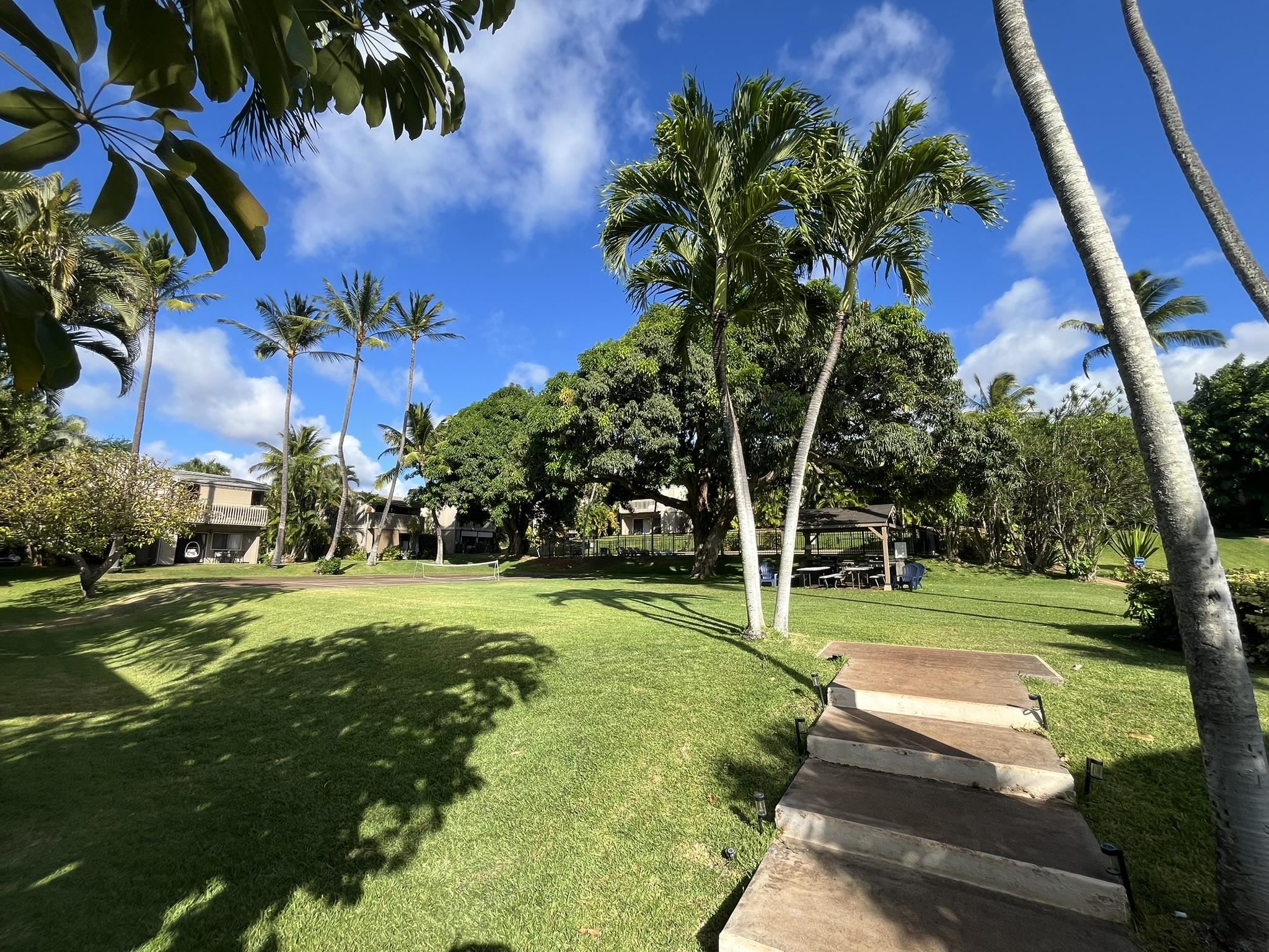 4435 Lower Honoapiilani Road, Unit 225 Lahaina, HI 96761 - Photo 26 of 35 a view of a park with a palm trees