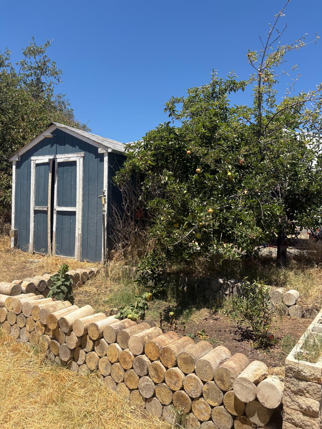 16862 Dutch Mine Road Jamestown, CA 95327 - Photo 34 of 37