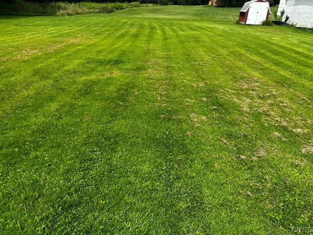 7901 River Road Floyd, NY 13440 - Photo 12 of 50