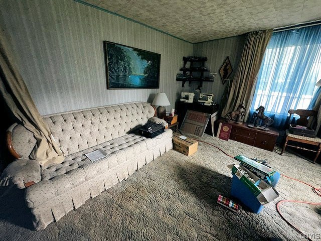 7901 River Road Floyd, NY 13440 - Photo 16 of 50