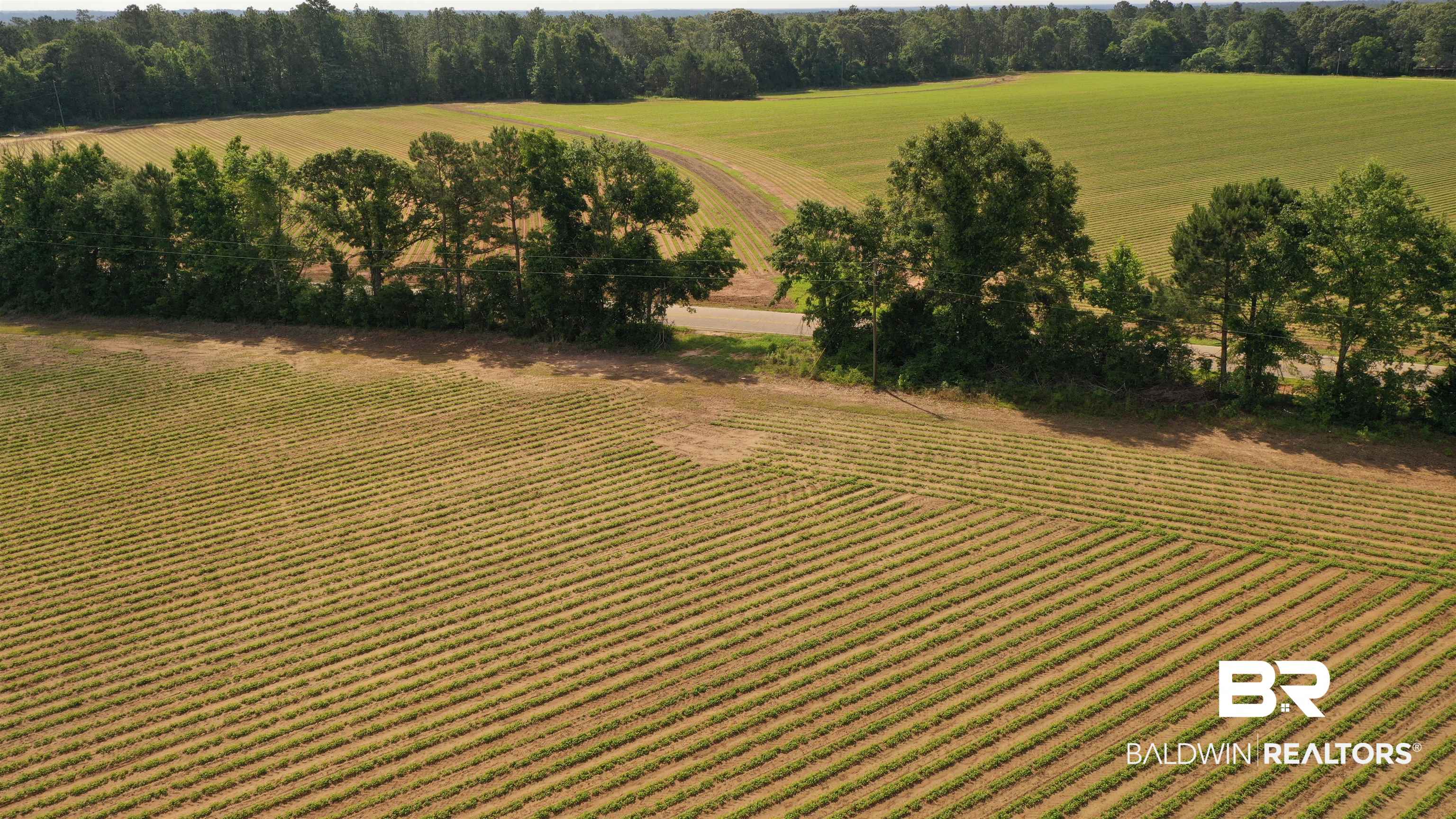 6 Travis Road Brewton, AL 36426 - Photo 20 of 22