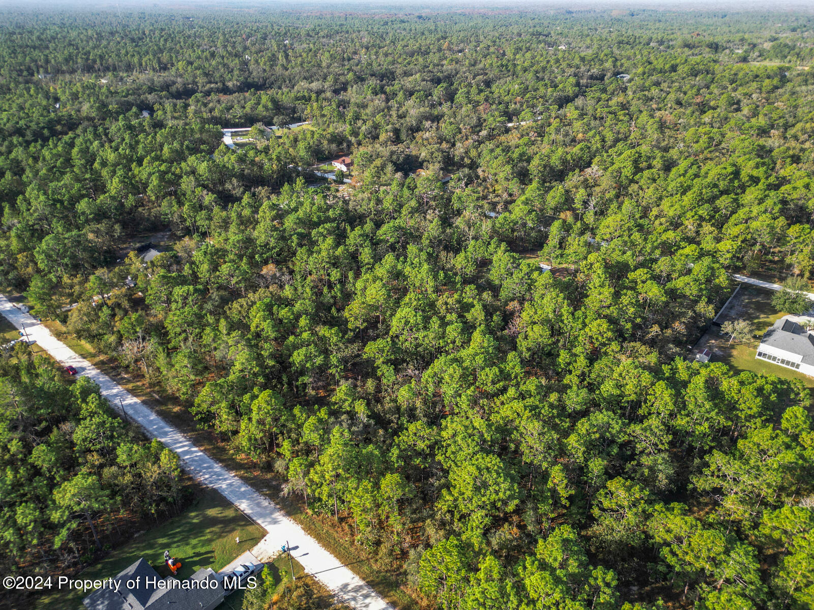 0 Macek Weeki Wachee, FL 34614 - Photo 12 of 22 an aerial view of a residential houses with outdoor space and trees