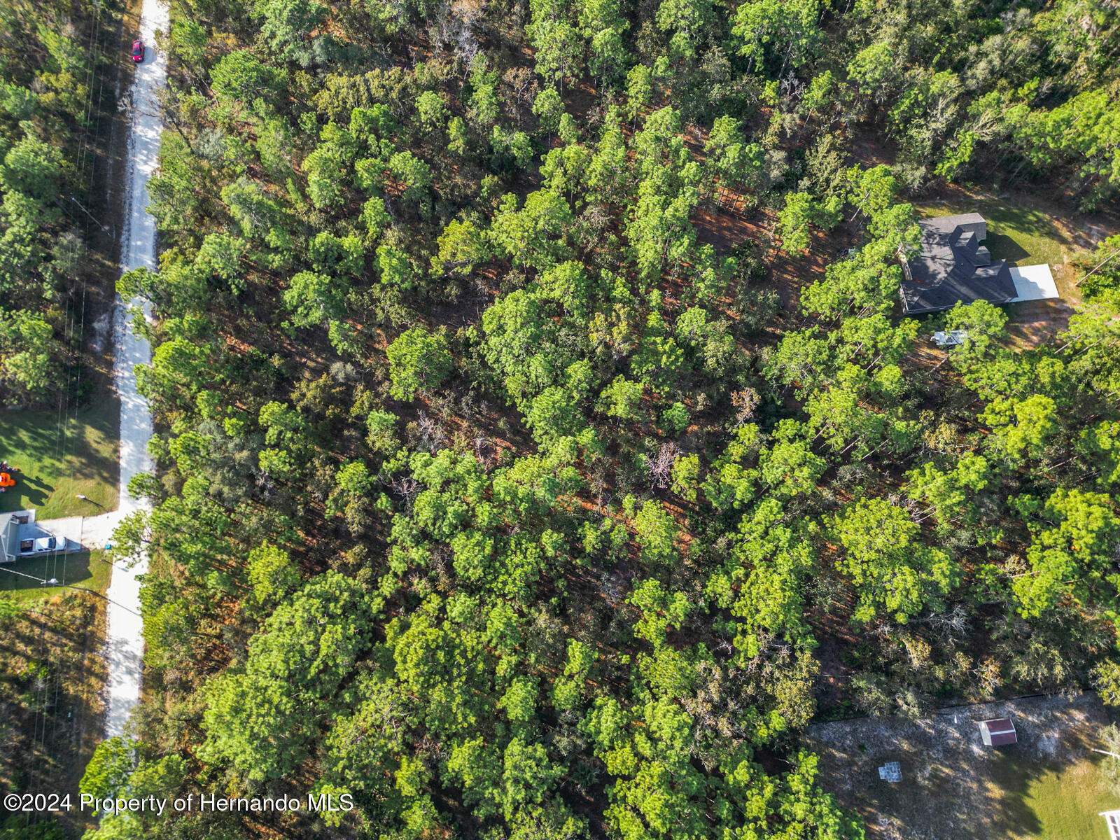 0 Macek Weeki Wachee, FL 34614 - Photo 18 of 22 a view of a tree