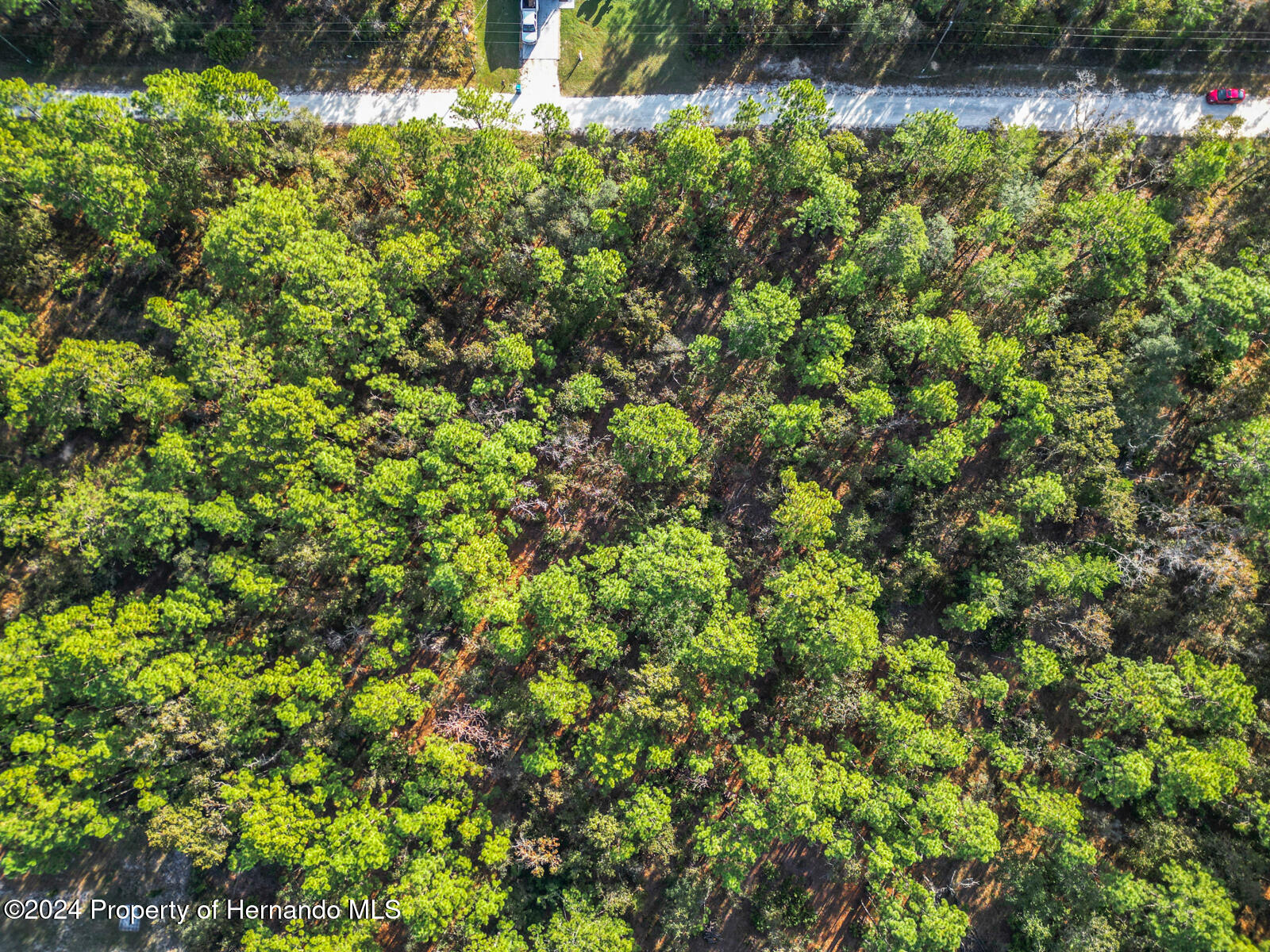 0 Macek Weeki Wachee, FL 34614 - Photo 19 of 22 a view of a garden