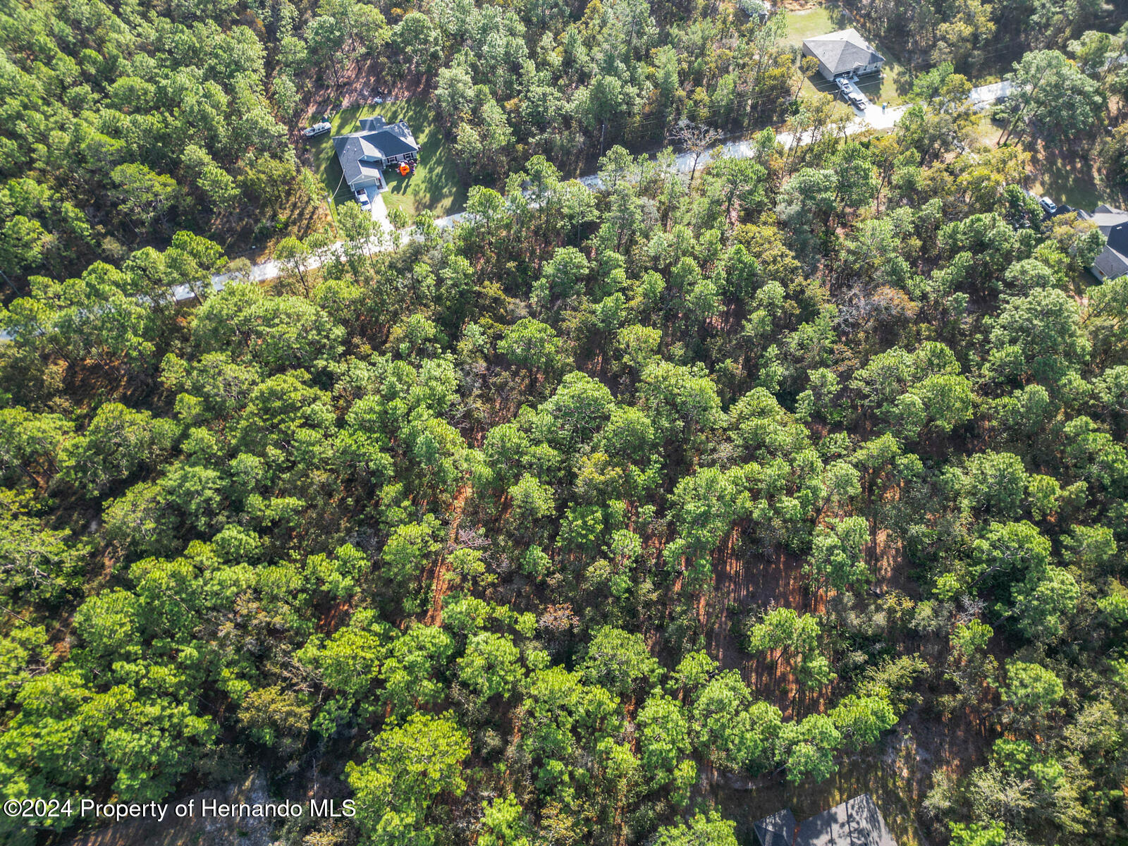 0 Macek Weeki Wachee, FL 34614 - Photo 20 of 22 view of a tree with a tree