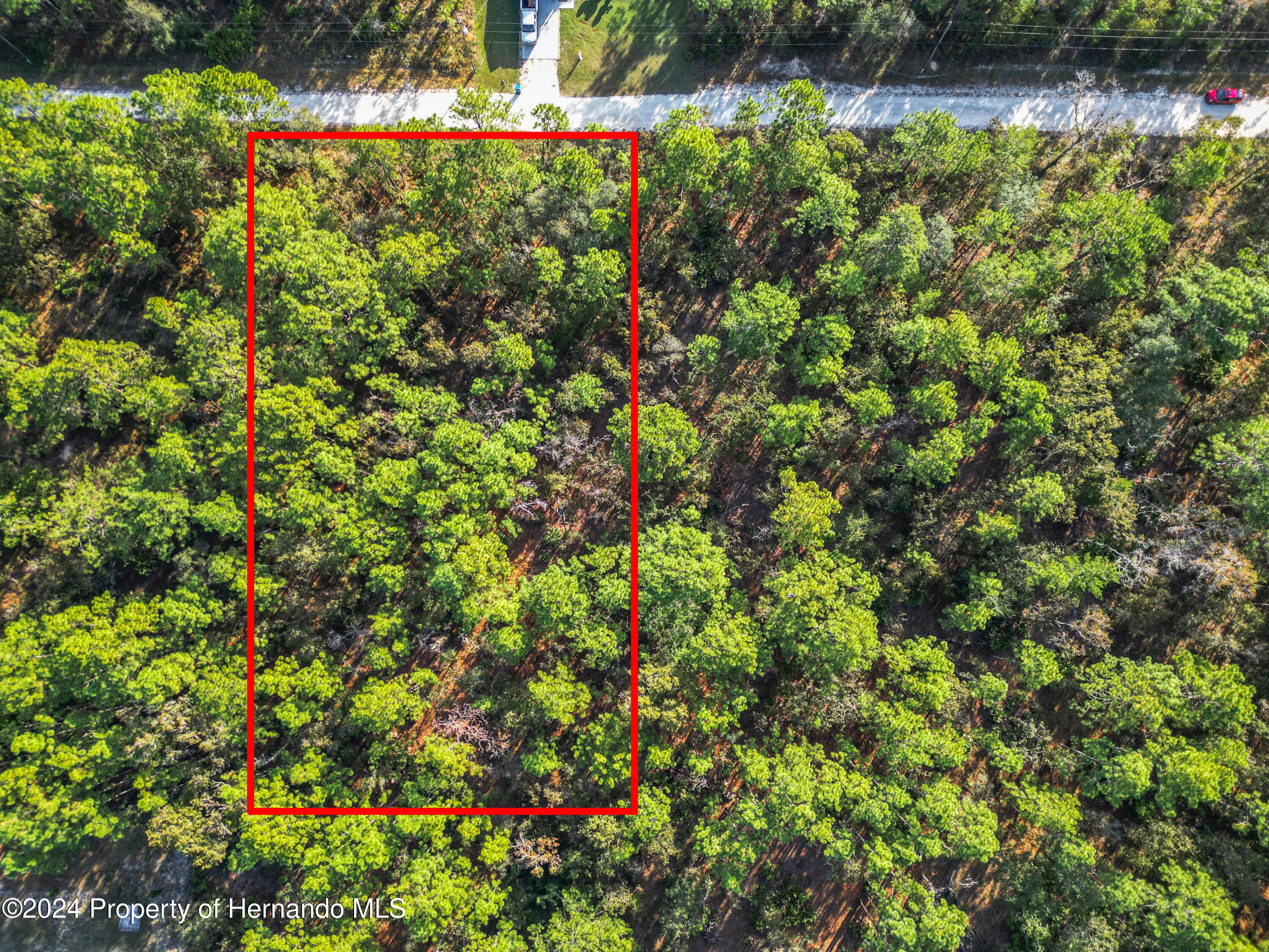 0 Macek Weeki Wachee, FL 34614 - Photo 2 of 22 a view of a garden with flowers