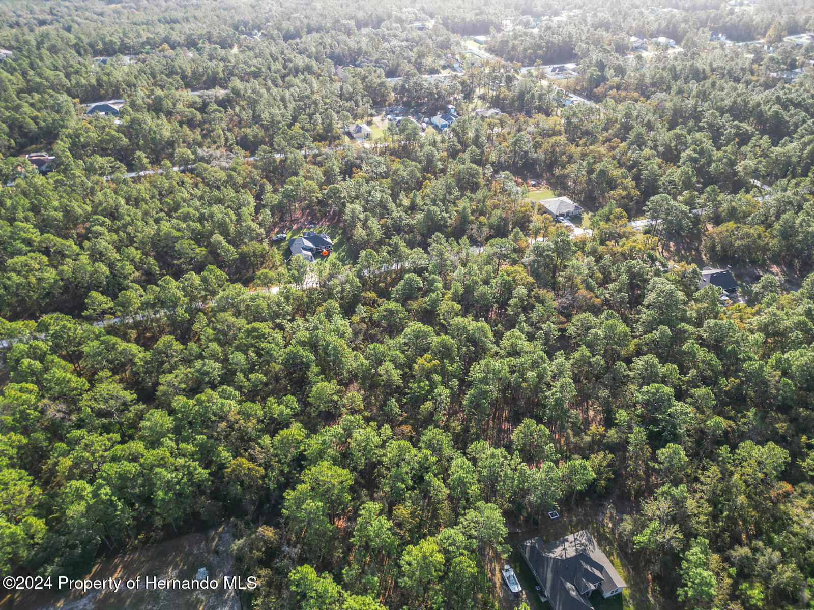 0 Macek Weeki Wachee, FL 34614 - Photo 21 of 22