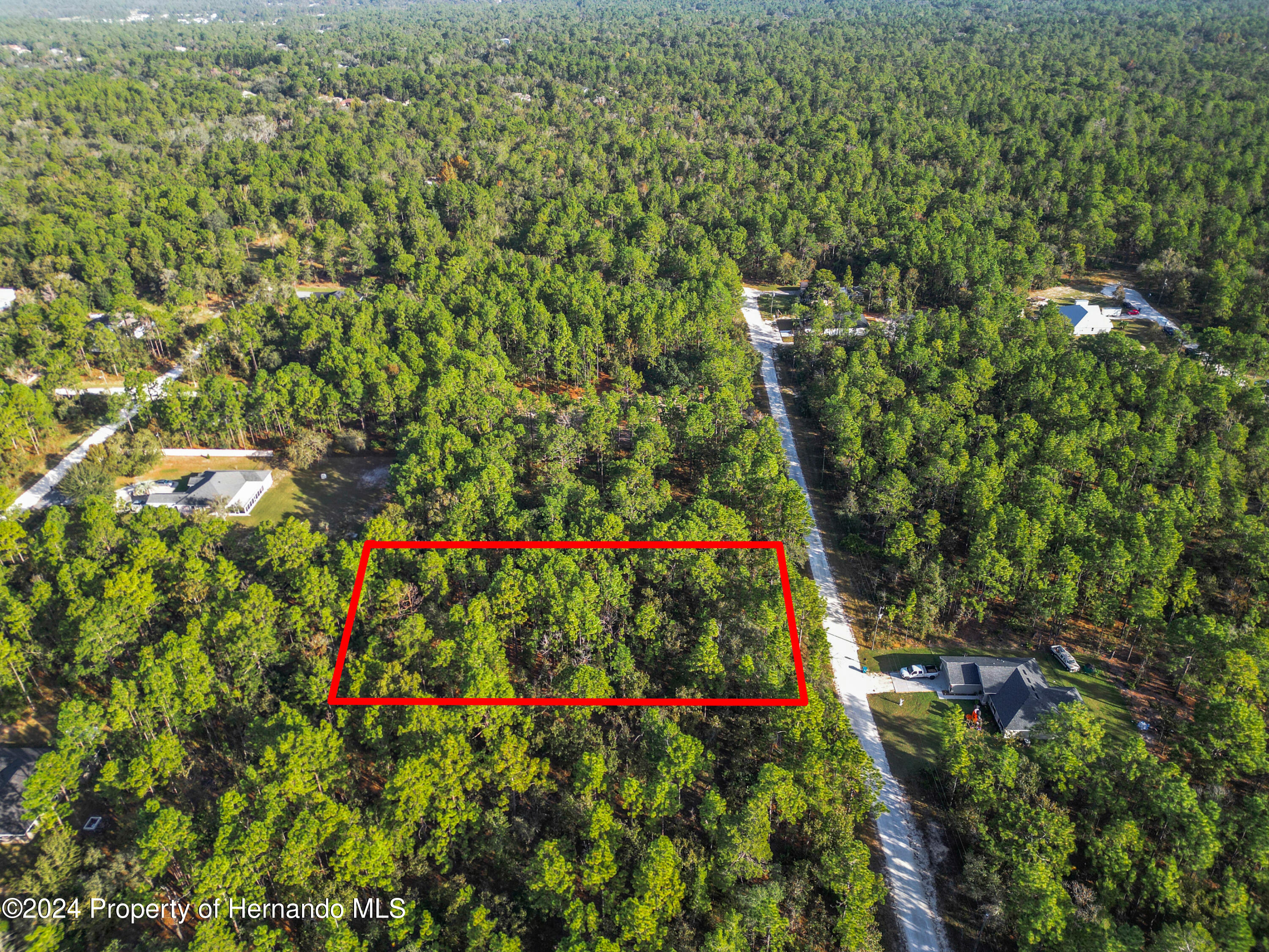 0 Macek Weeki Wachee, FL 34614 - Photo 4 of 22