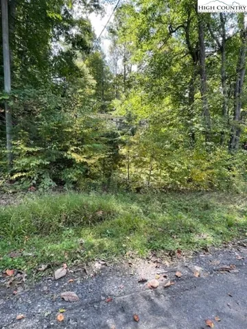 a view of a large yard with lots of trees