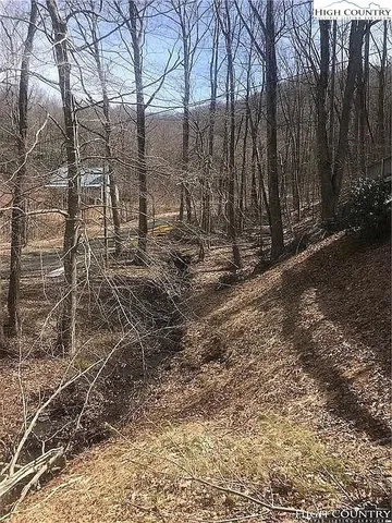 a view of a yard with lots of trees