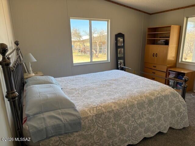 3023 West Clark Road Benson, AZ 85602 - Photo 21 of 40