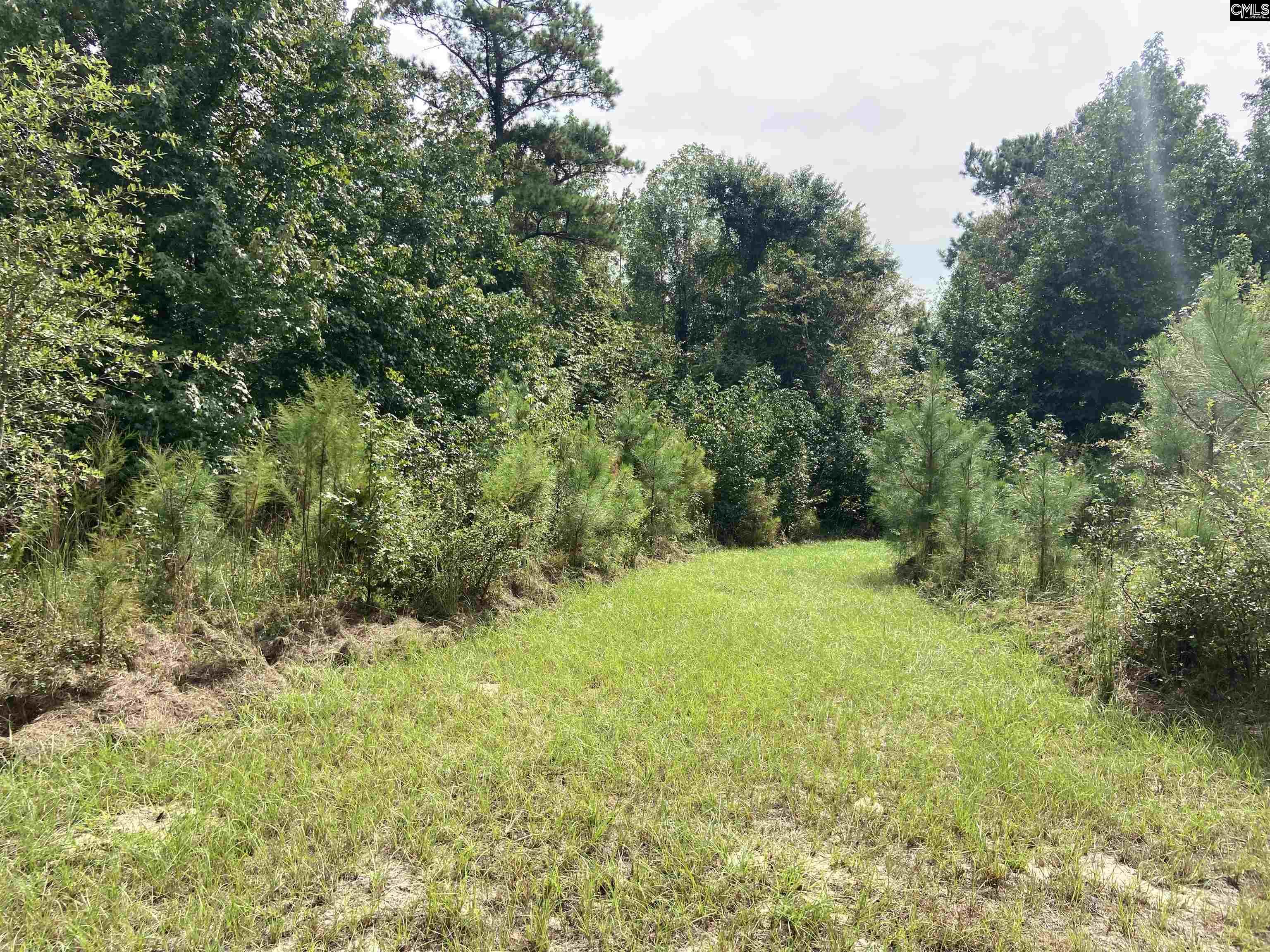 91 Shiver Road Rembert, SC 29128 - Photo 7 of 23