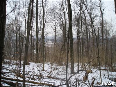 4212 Run Road New Tripoli, PA 18066 - Photo 1 of 7 View from top of 19 acre parcel looking north at the Blue mountain.