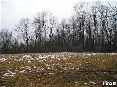 4212 Run Road New Tripoli, PA 18066 - Photo 3 of 7 View from top of 19 acres looking west towards wooded 6 acre parcel.