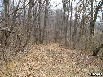 4212 Run Road New Tripoli, PA 18066 - Photo 4 of 7 Lane heading down from top of property.