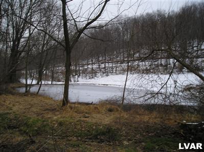 4212 Run Road New Tripoli, PA 18066 - Photo 5 of 7 View of pond on lower portion of 19 acre parcel.