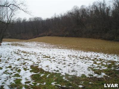 4212 Run Road New Tripoli, PA 18066 - Photo 6 of 7 Lower part of 19 acre parcel looking west.