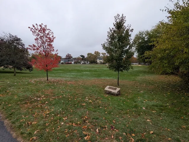 a view of a garden with a slide