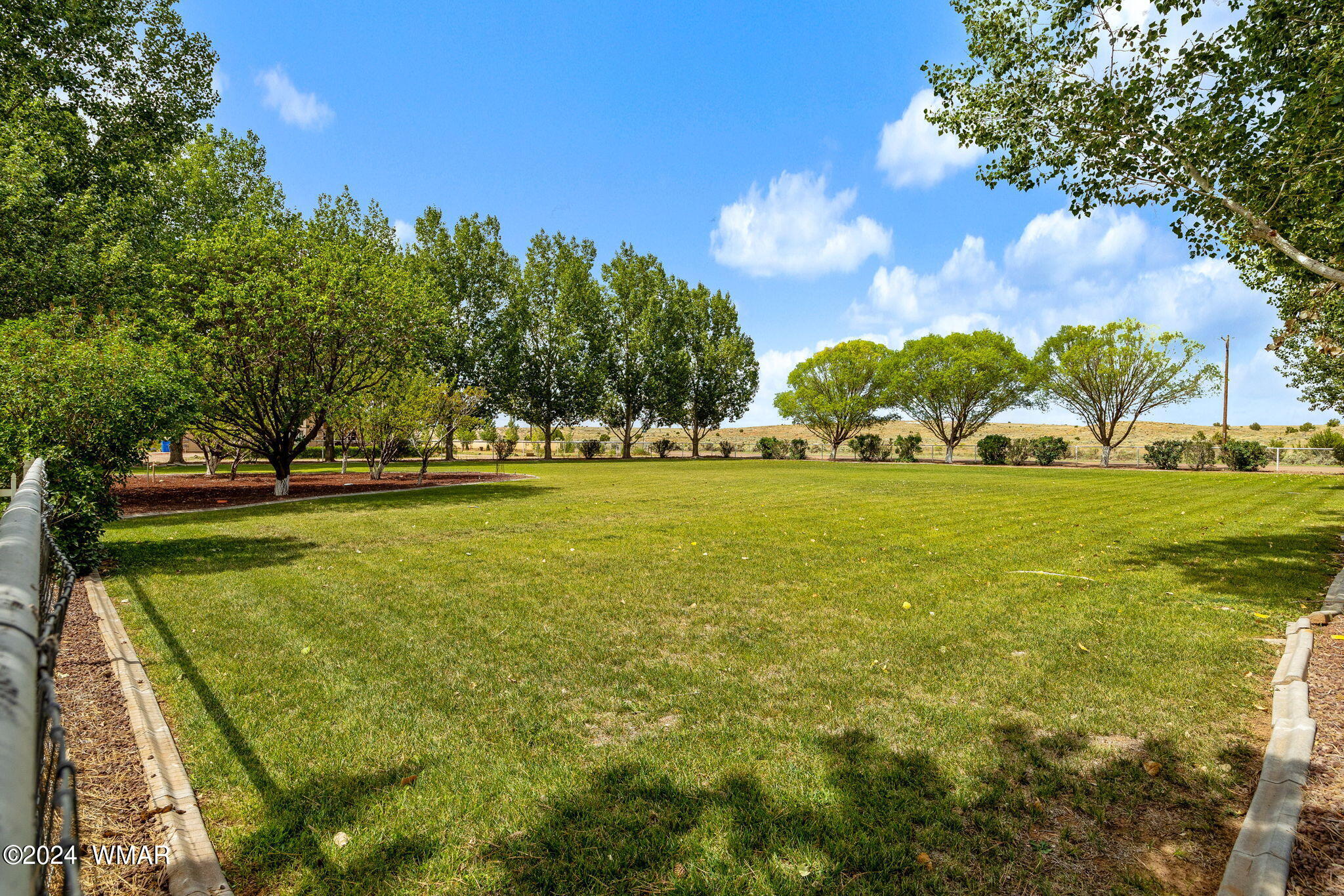 4075 Paper Mill Road Taylor, AZ 85939 - Photo 6 of 29 HUGE lawn