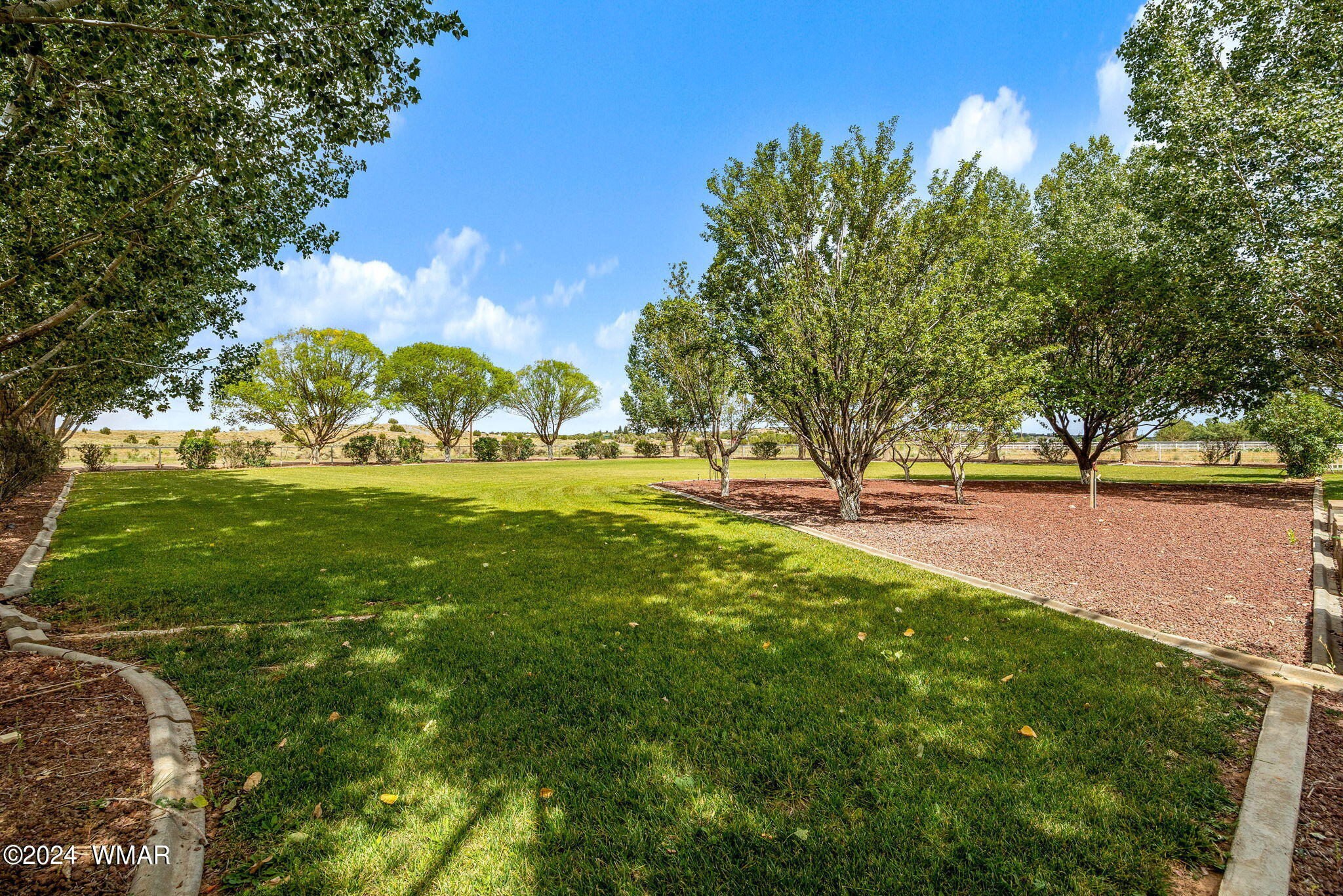 4075 Paper Mill Road Taylor, AZ 85939 - Photo 7 of 29 HUGE yard