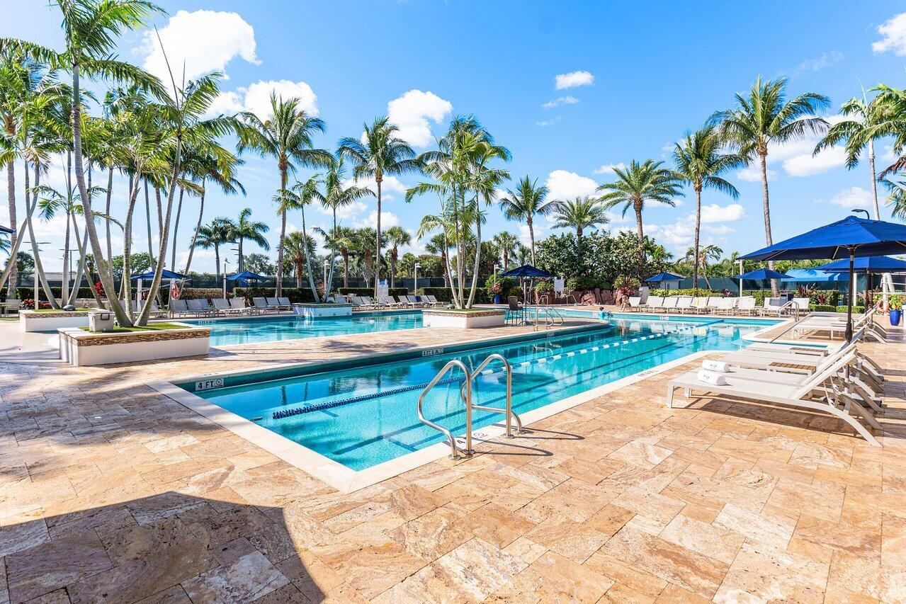 4848 Chamal Circle Boca Raton, FL 33487 - Photo 80 of 88 a view of a swimming pool with a lawn chairs under palm trees