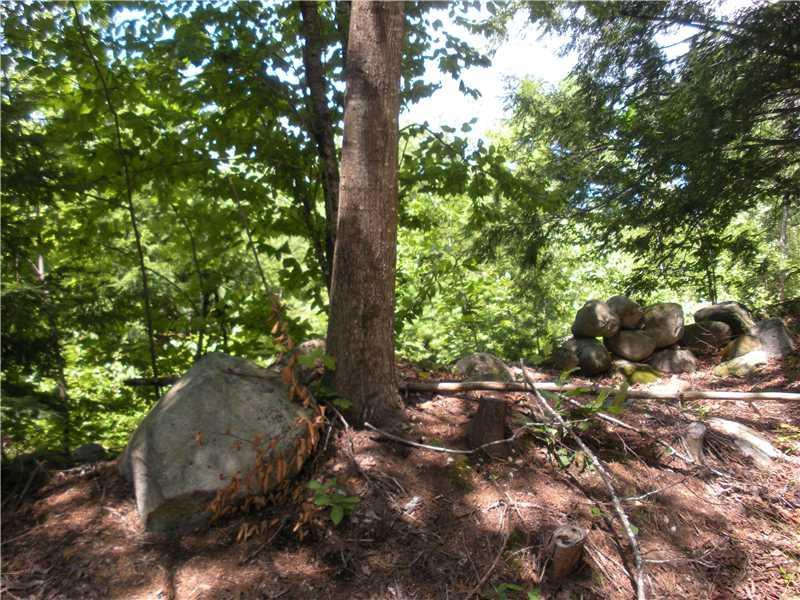 Lot 21 Hussey Road Parsonsfield, ME 04047 - Photo 13 of 15 Land. land at Hussey Road