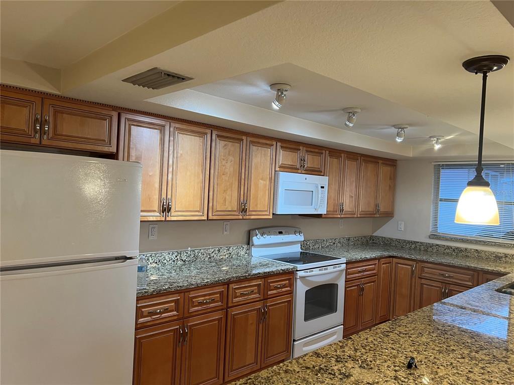 5945 Mockingbird Drive New Port Richey, FL 34652 - Photo 14 of 17
